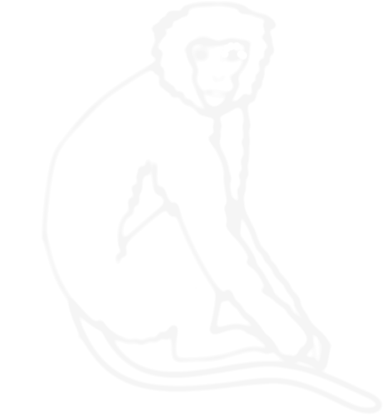 ook ook, I'm a monkey